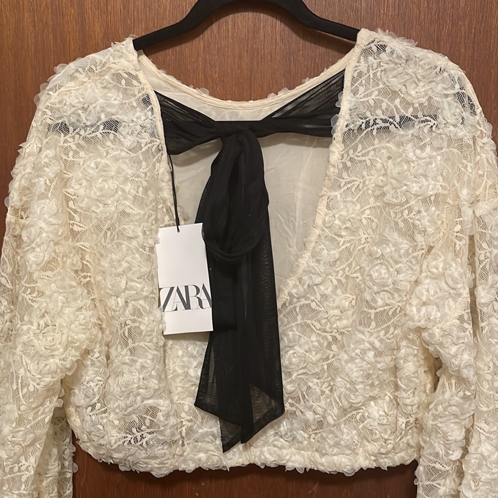 NWT Zara Organza Lace Shirt - Picture 9 of 11